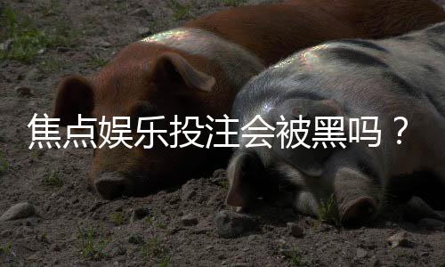 焦点娱乐投注会被黑吗?揭秘平台安全性与防黑技巧