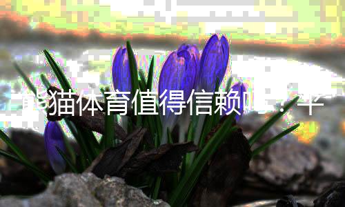 熊猫体育值得信赖吗?平台资质、安全性、提现速度与真实用户口碑全方位解析