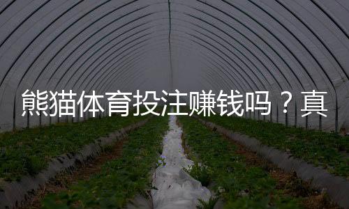 熊猫体育投注赚钱吗?真实体验、盈利能力与风险全解析
