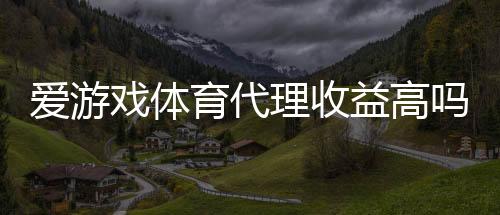 爱游戏体育代理收益高吗?佣金结构、收入预估与风险一文看懂