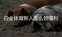 白金体育新人怎么领福利：完善指南