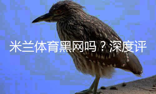 米兰体育黑网吗?深度评测与真实用户投诉、风险防范指南