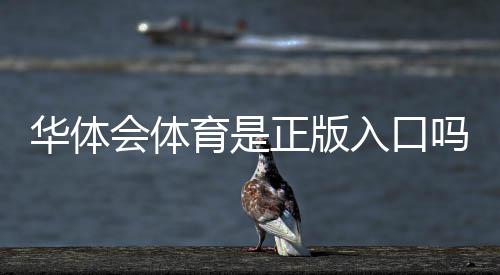 华体会体育是正版入口吗?官方渠道识别与安全访问全攻略