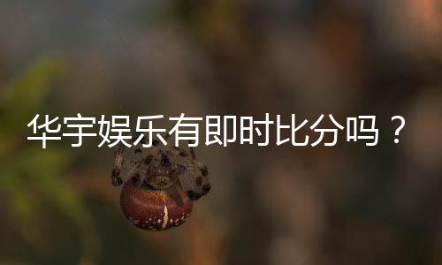 华宇娱乐有即时比分吗？全面解析比分功能与投注技巧