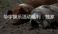 华宇娱乐活动福利：独家福利与惊喜活动等你来享