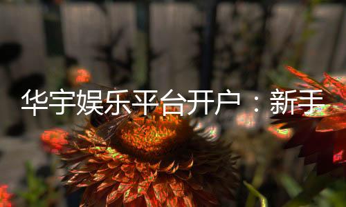 华宇娱乐平台开户：新手注册指南与首存优惠详解