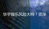 华宇娱乐风险大吗？资深玩家解析平台安全性与风险控制