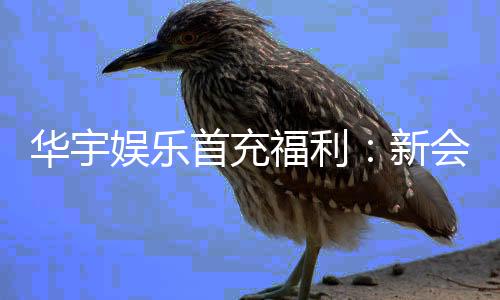 华宇娱乐首充福利：新会员专享高额返利与独家礼包