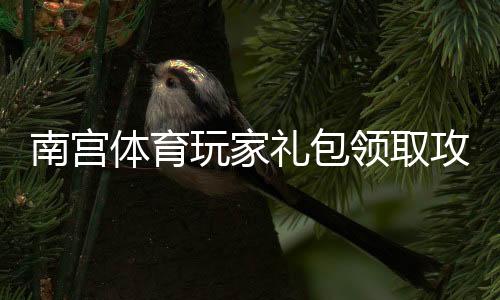 南宫体育玩家礼包领取攻略:新手必看礼包内容、激活码与使用详解