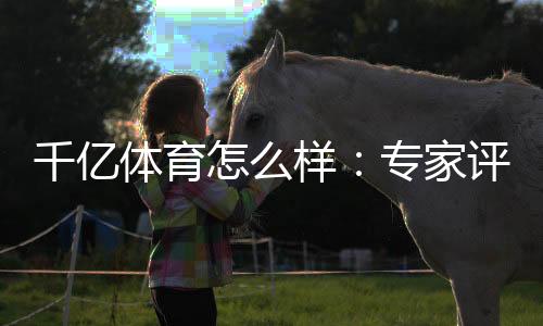 千亿体育怎么样:专家评测揭秘