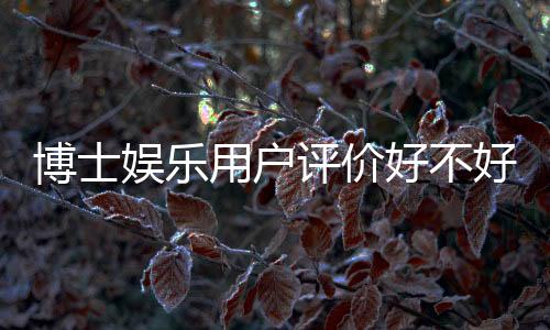 博士娱乐用户评价好不好?真实玩家体验分享与深度解析