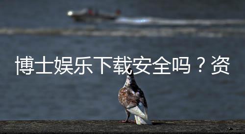 博士娱乐下载安全吗？资深玩家揭秘平台安全性与下载攻略