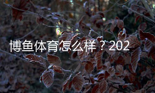 博鱼体育怎么样?2026最新平台评测:安全性、提现、优惠与用户口碑全面解析