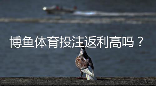 博鱼体育投注返利高吗？全面解析返利规则、实测比例与提现注意事项