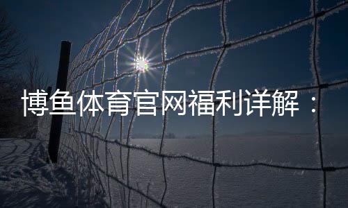 博鱼体育官网福利详解：2026最新新人礼包、充值返利与领取攻略