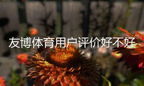 友博体育用户评价好不好?真实口碑、优缺点与使用体验全面解析