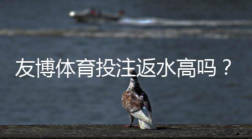 友博体育投注返水高吗？真实返水比例、计算方法与省钱提现全攻略