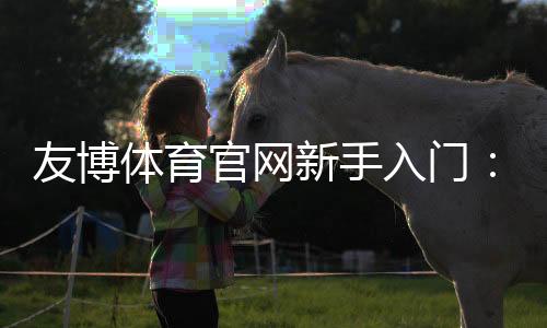 友博体育官网新手入门:注册登录、充值提现与优惠安全完整教程