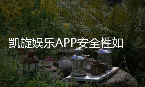 凯旋娱乐APP安全性如何?深度解析其资金保障与数据防护措施