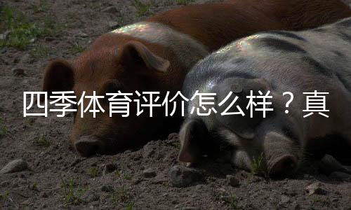 四季体育评价怎么样?真实用户口碑、玩法体验与安全性全面解析