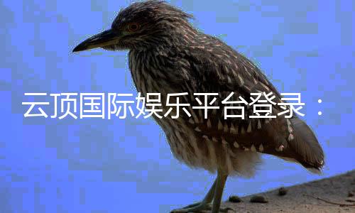 云顶国际娱乐平台登录:畅享顶级棋牌电游的尊贵体验