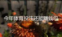 今年体育投注还能赚钱吗？盈利概率、主要风险与实用策略一文看懂