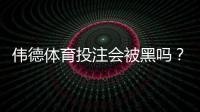伟德体育投注会被黑吗？真相揭秘、风险评估与安全防范全攻略