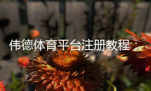 伟德体育平台注册教程:新手注册流程、身份验证与安全注意事项