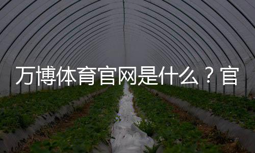 万博体育官网是什么？官方入口、注册登录与安全使用全攻略