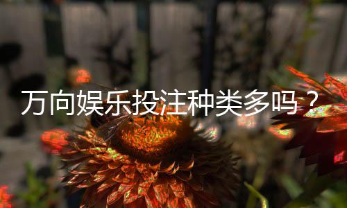 万向娱乐投注种类多吗？深度解析平台热门游戏与特色玩法