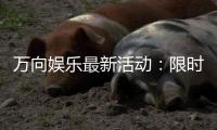 万向娱乐最新活动：限时豪礼大放送新老玩家同享
