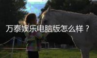 万泰娱乐电脑版怎么样？资深玩家真实体验评测