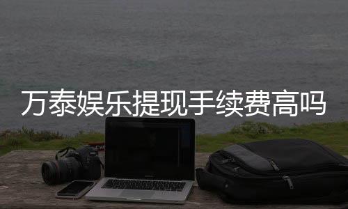 万泰娱乐提现手续费高吗？资深玩家解析费用详情与应对技巧
