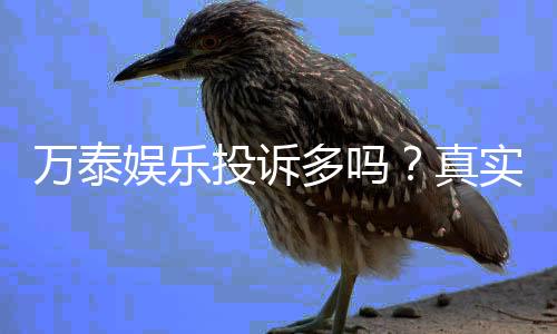 万泰娱乐投诉多吗？真实玩家反馈与投诉渠道解析