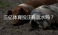 三亿体育投注有返水吗？官方返水规则、返利比例与领取领取攻略