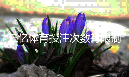 三亿体育投注次数有限制吗?新手必看投注频率、限额与封号风险全解析