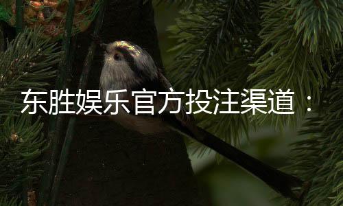 东胜娱乐官方投注渠道:安全便捷的一站式博彩平台指南