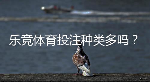 乐竞体育投注种类多吗?全面盘点各类投注玩法与新手入门攻略