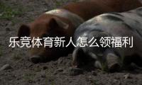 乐竞体育新人怎么领福利？注册、认证到领取全流程攻略与常见问题
