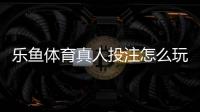 乐鱼体育真人投注怎么玩？新手入门、玩法规则与安全注意事项全解