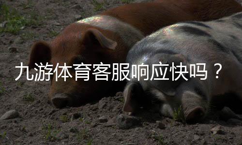 九游体育客服响应快吗?实测响应速度与快速联系攻略