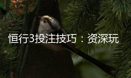 恒行3投注技巧：资深玩家分享实战稳赢策略