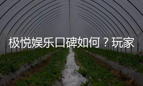 极悦娱乐口碑如何?玩家真实评价与体验分享