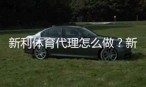 新利体育代理怎么做?新手开代理全流程、佣金模式与推广运营攻略