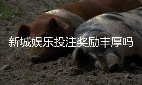 新城娱乐投注奖励丰厚吗?揭秘高额返利与独家优惠活动