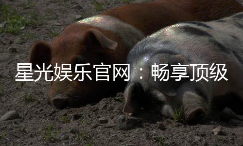星光娱乐官网：畅享顶级棋牌电游的豪华盛宴