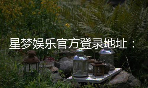 星梦娱乐官方登录地址:轻松获取最新官网入口与游戏体验