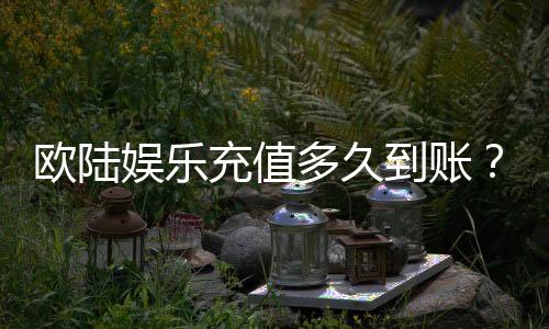 欧陆娱乐充值多久到账？实测到账时效与充值技巧分享