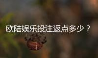 欧陆娱乐投注返点多少？揭秘高返点活动与实战技巧