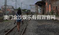 澳门金沙娱乐有假冒官网吗？揭秘如何辨别真假官网及防骗技巧